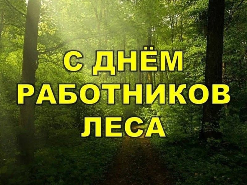 Глава Администрации МО «Тереньгульский район» поздравил с Днем работников леса и лесоперерабатывающей промышленности.