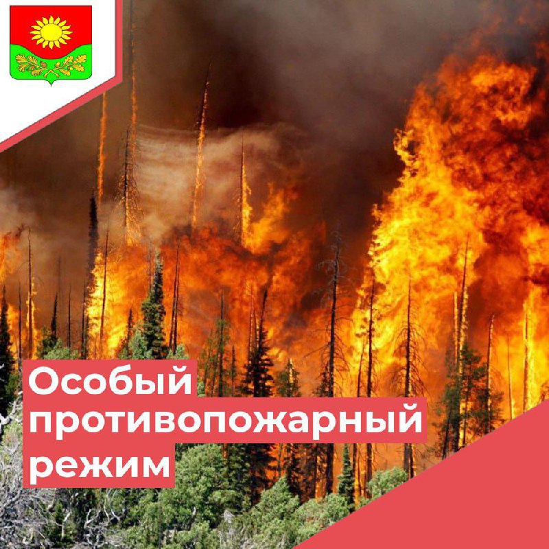 С 29 апреля по 12 мая в Ульяновской области введён особый противопожарный режим..
